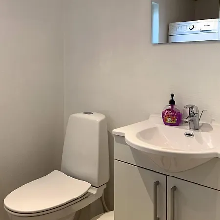Amazing In With Sauna 度假居